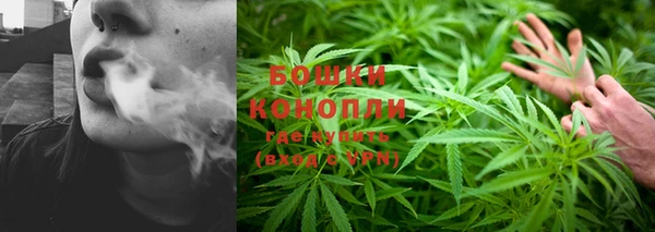 гидропоника Балахна