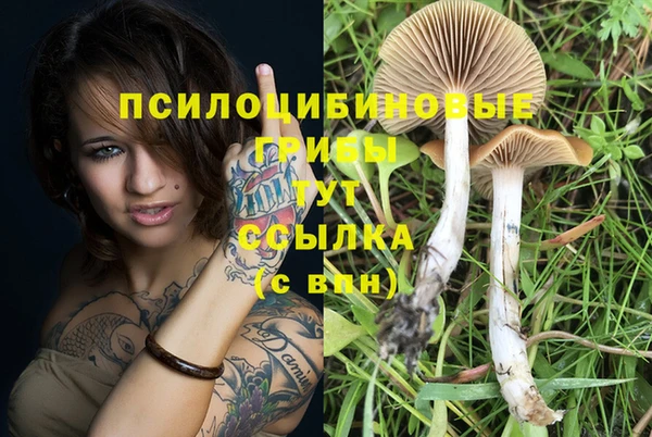 PSILOCYBIN Балабаново