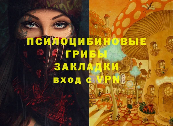бошки Армянск