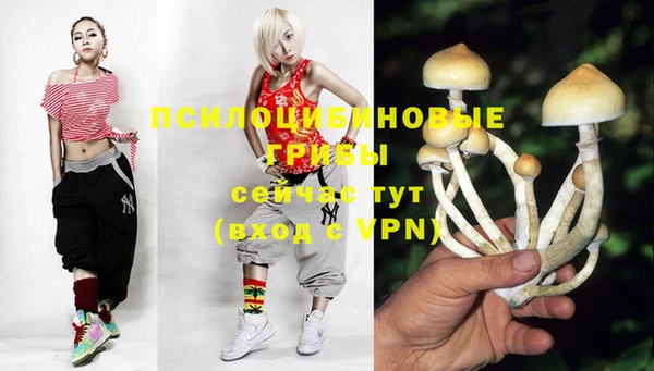 бошки Армянск