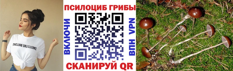 Галлюциногенные грибы прущие грибы  дарнет шоп  Артёмовск 