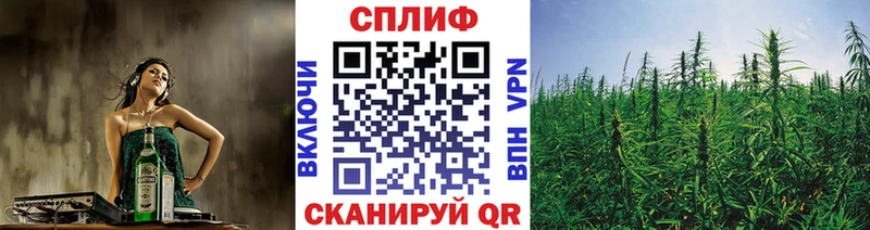 Бошки Шишки планчик Артёмовск